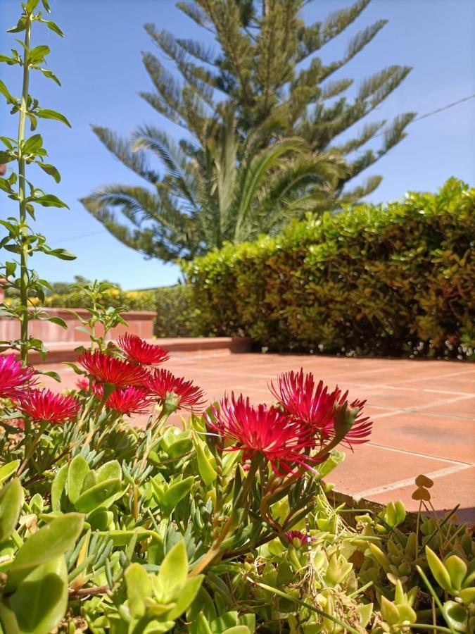 Villa La Casa Al Sole à Marina di Sorso Extérieur photo
